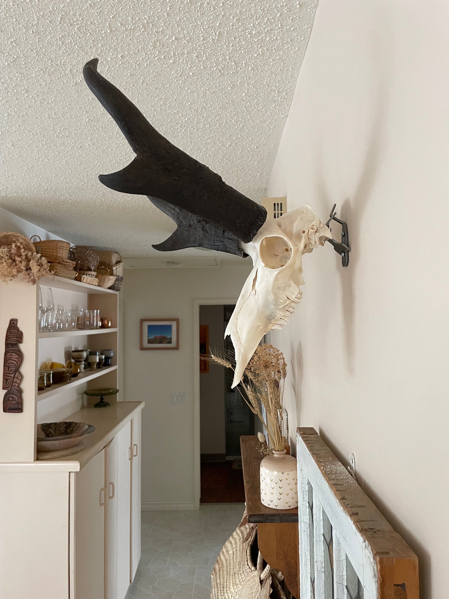 NEW! Skull Lift Bracket - for European Mounting Systems